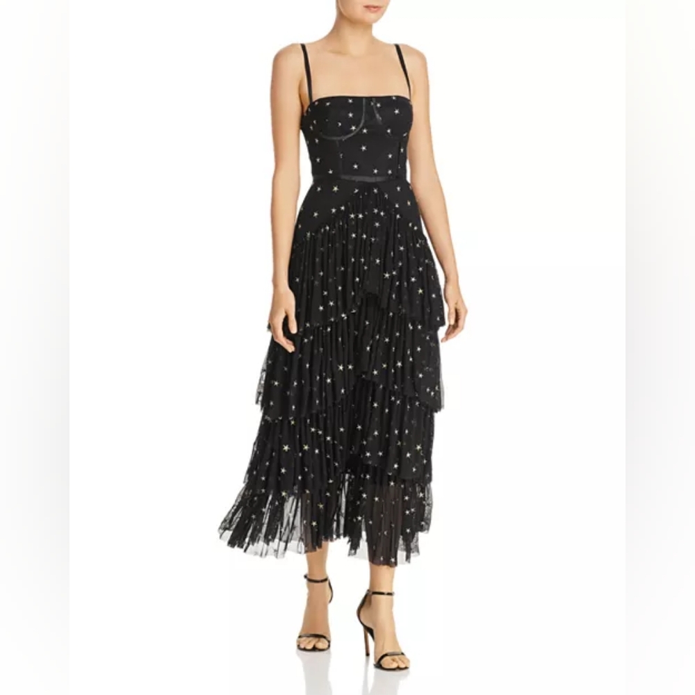 Pierre Embroidered Tulle Gown